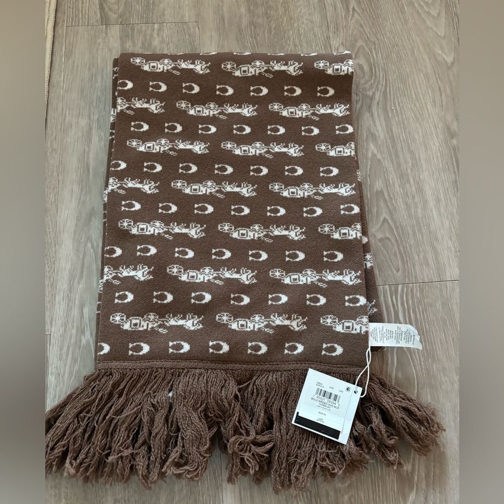 Coach Brown Fringe Scarf